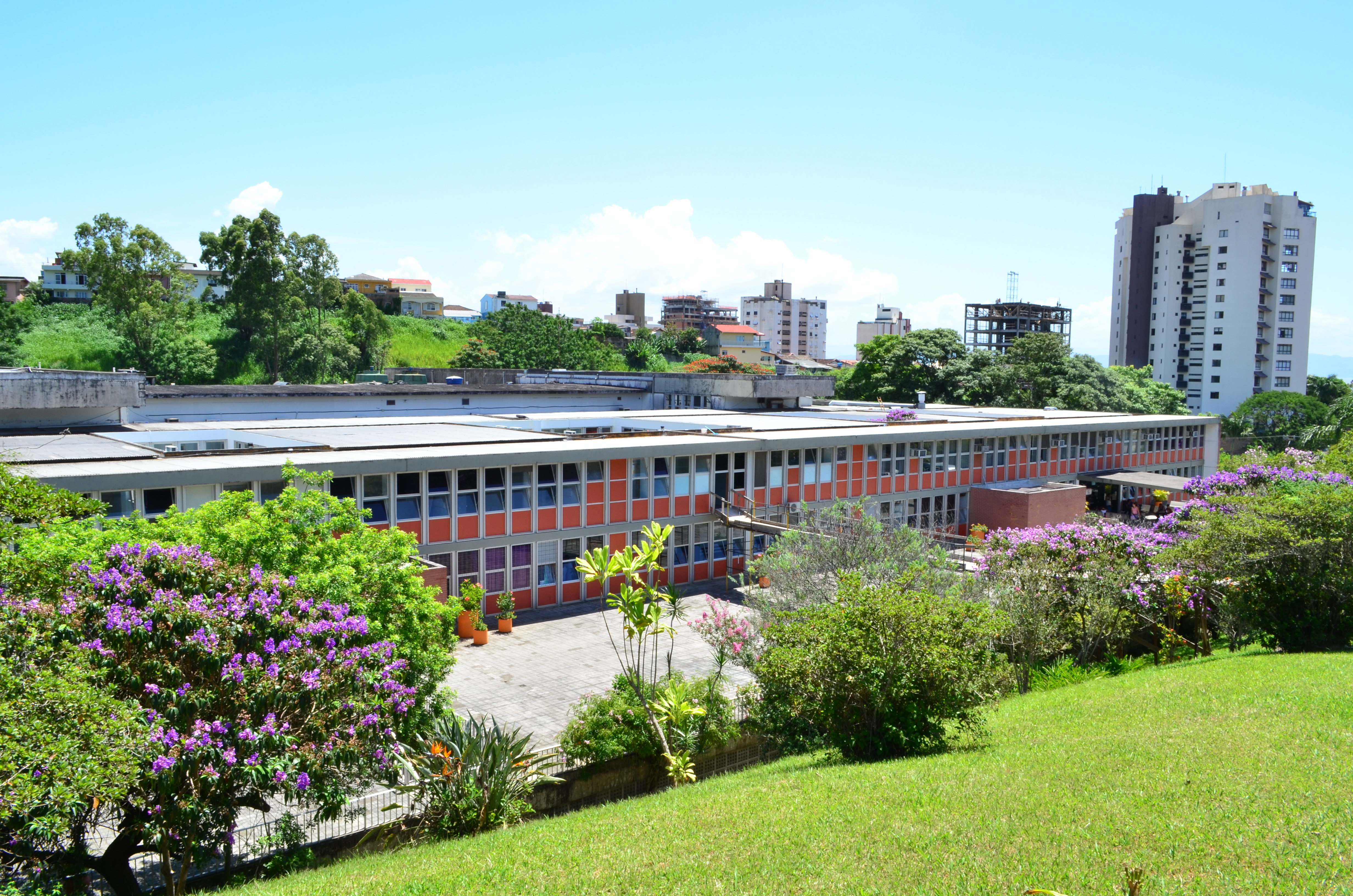 Foto: Hospital Infantil - Divulgação 